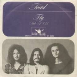 Toad (CH) : Fly - No Need